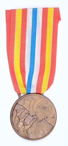 Medaglia benemerenza terremoto - medaglia,