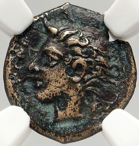 Katanae sicilia autentica - katanae,