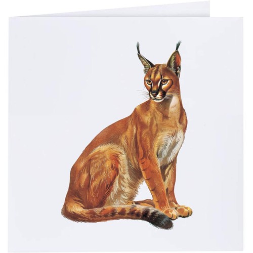 Biglietti auguri caracal - di,