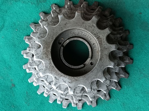 Ruota libera regina corsa v - ruota,