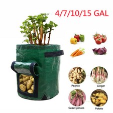 Sacchetto per coltivazione