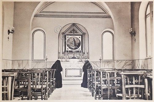 Cartolina oasi regina - -,