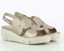 Bubble Wedge by Wonders