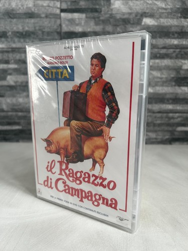 Ragazzo di campagna - il,