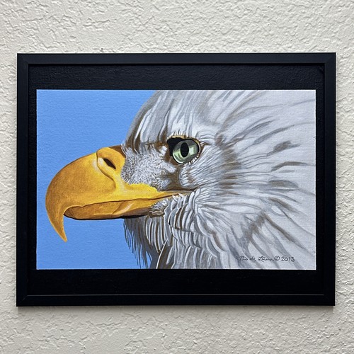 Quadro originale aquila - , calva