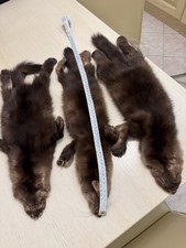 Zibellino Siberiano Pelliccia Collo Fur