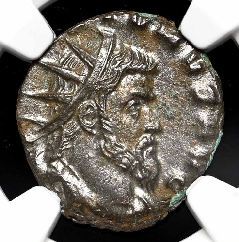Aureolo usurpatore - aureolo.,