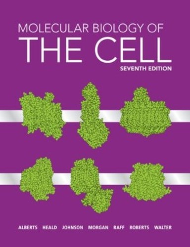 Molecular biology the cell - molecular,
