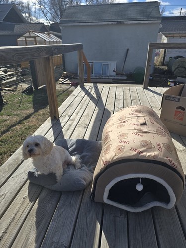Cuccia xxl per cani - cuccia,