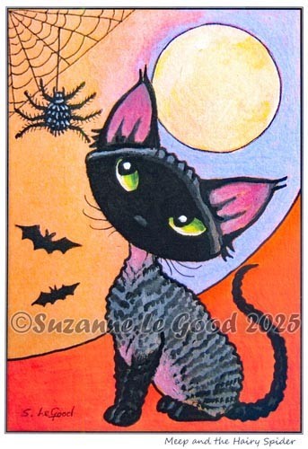Devon rex cat - rex,