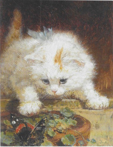 Nuova cartolina gatti - cartolina, gattini