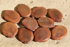 ALBERO ORCHIDEE BIANCHE