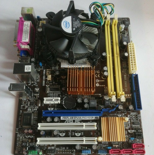 Scheda madre asus - scheda,