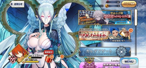 Fate grand order - order, jp