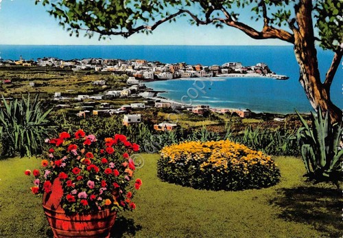Cartolina forio ischia - cartolina,