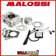 3114621 CILINDRO MALOSSI 187CC
