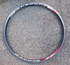 Cerchio 28" (622-15C) bici corsa, marcato FULCRUM, raggi 24, Bianchi Colnago