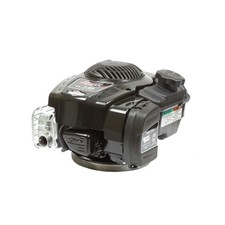 Briggs and Stratton