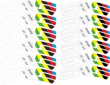 Adesivi Ruote ENVE SES 4.5 Disc 2022 - Limited Edition World Champs