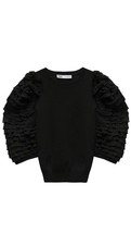 Jersey Negro