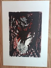 Gualtiero Nativi Litografia Cm