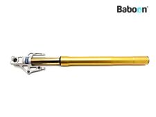 Gamba forcella anteriore