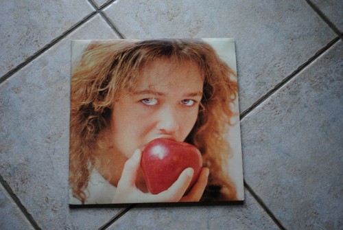 Perigeo special alice 2 lp - alice,