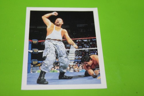 Figurina merlin wrestling - wrestling, wwf