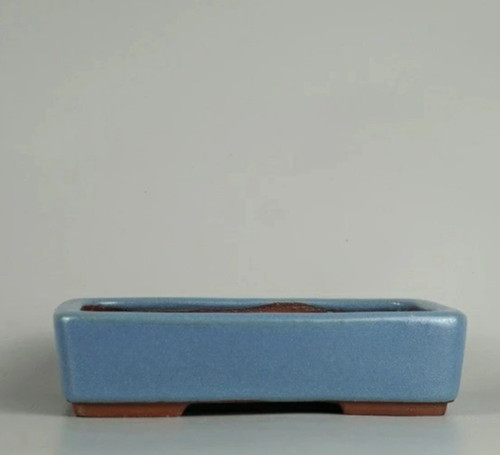Vaso per bonsai - , giapponese
