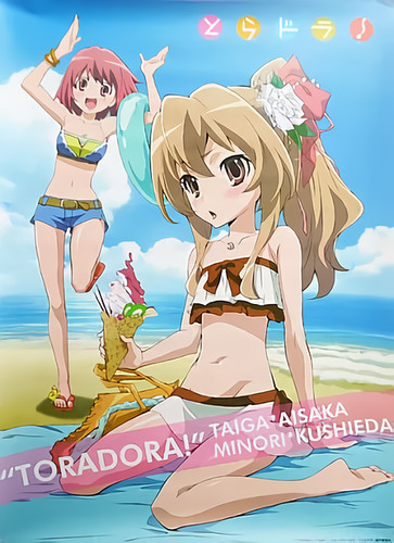 Poster ami taiga aisaka - ami,