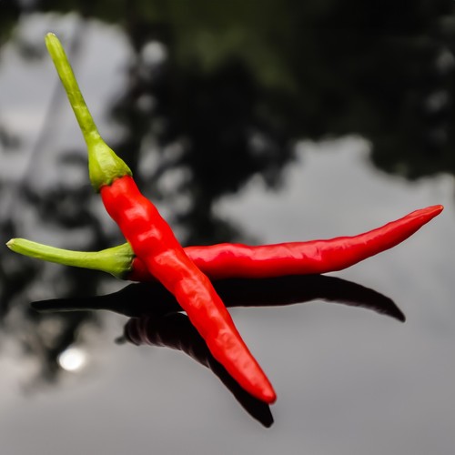 Semi peperoncino thai - di,