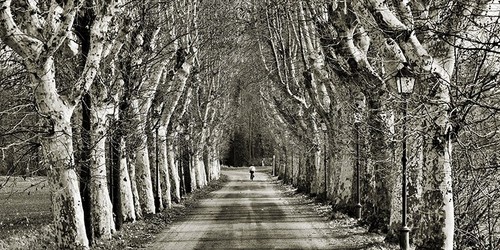 Quadro viale con - viale,