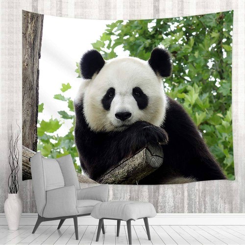 Arazzo panda extra - extra, large