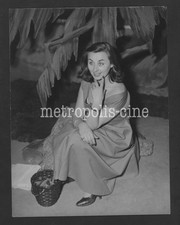 SANDRA MONDAINI SUL