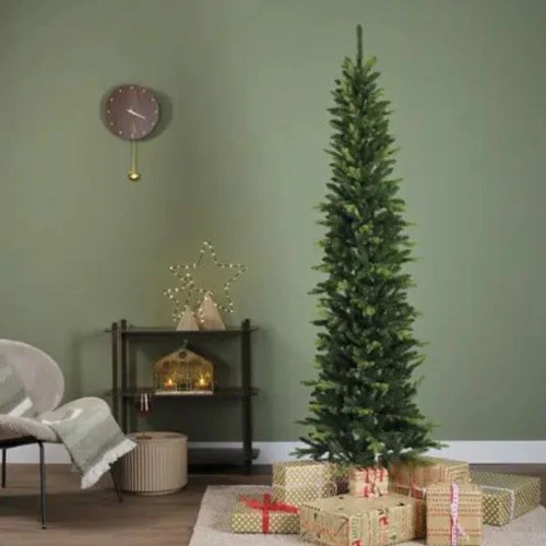 Albero natale colorado fir - albero,