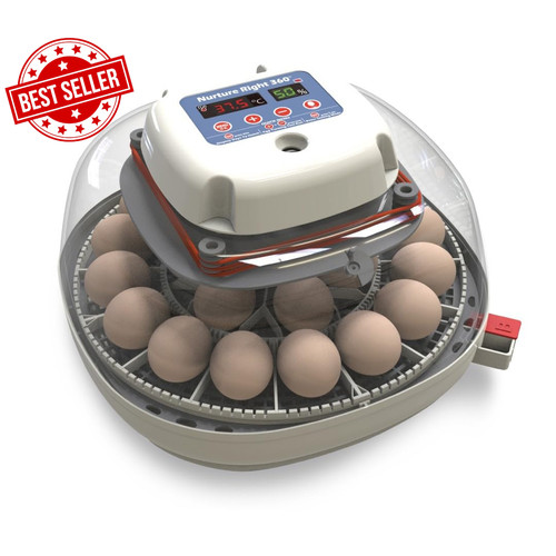 Egg incubator for - egg, hatching