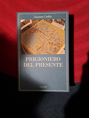 Prigioniero del presente vita - prigioniero,