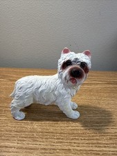 West Highland Terrier White