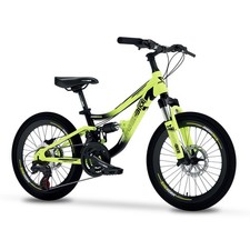 Bicicletta mountain bike - mountain,