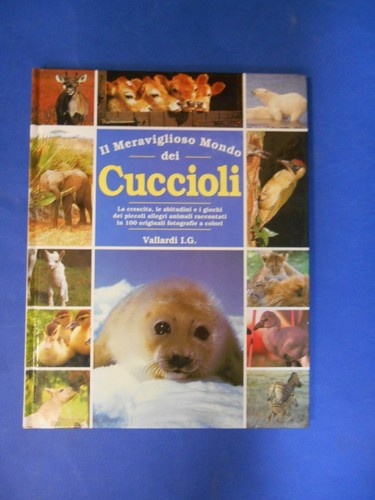 Meraviglioso mondo dei - mondo,