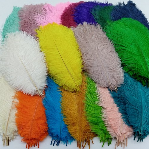 Piume struzzo colorate - piume,