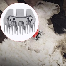 Sheep Steel Stainless Shearing
