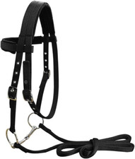 Horse Halter Briglia Con