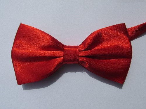 Papillon farfalla seta raso - farfalla,