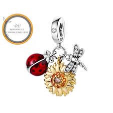 Charm coccinella, libellula e