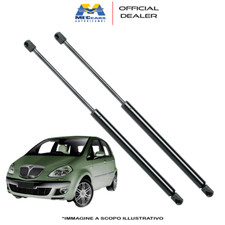 2 MOLLE A GAS PISTONCINI