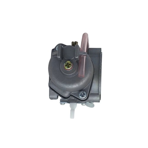 Carburatore per rasaerba - ,