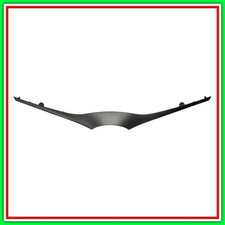 Modanatura Griglia Superiore