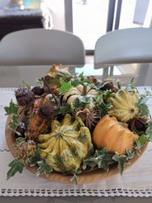 Zucche Ornamentali Coppia