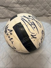 Pallone Inter 2013/14